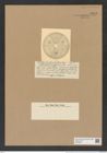 Actinoptychus thrubsoliana Castr. (de-Toni-Nr.: Genus 227, Species 5627) Zeichnungen Sammlung Grunow Nr. 9512 (NHMW-BOT-W0379499)